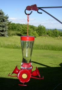 Hummingbird feeder with ant barrier